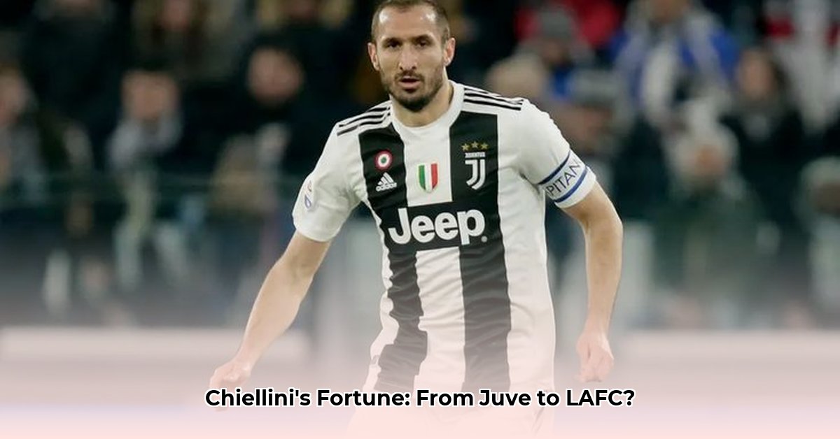 giorgio-chiellini-net-worth